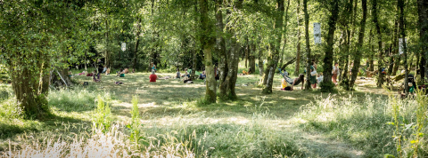 People in a glade - some in hammocks, some lying in the grass. Sun is shining and the vibe is green and happy. 