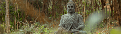 Buddha statue in  forest