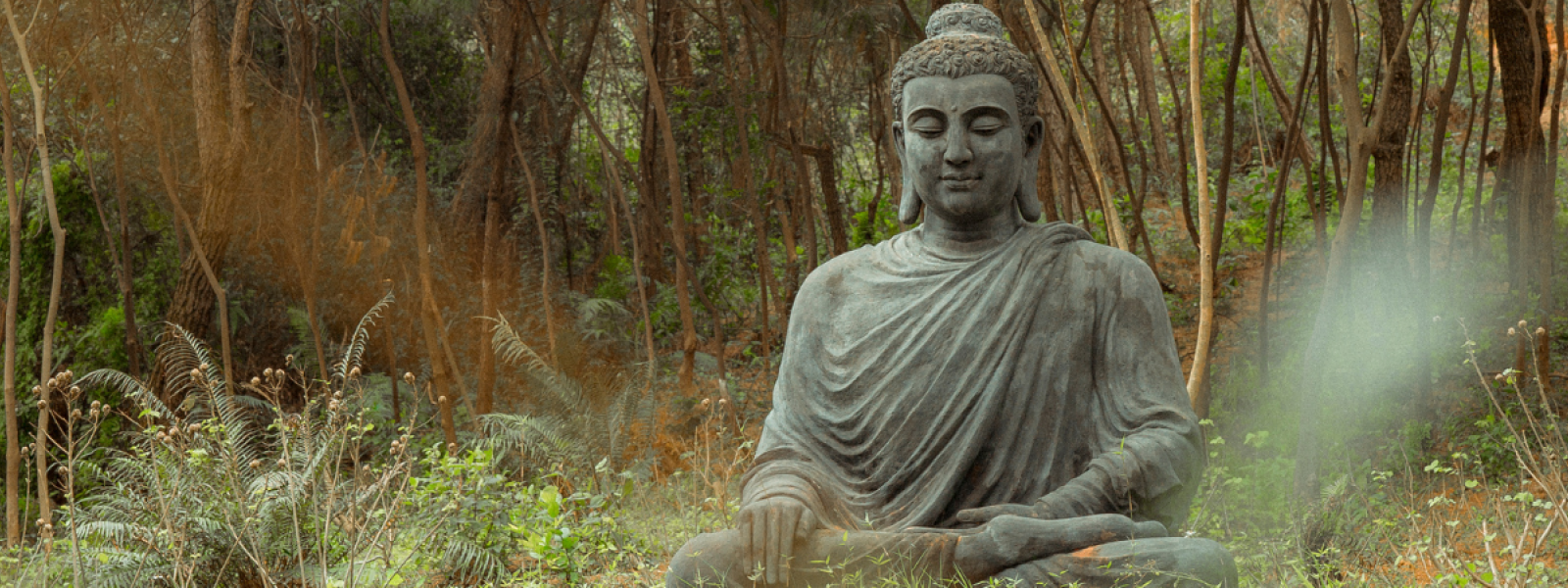 Buddha statue in  forest